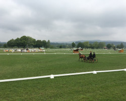 299A3754 13D0 468B 963D 09BD32E0FEBA