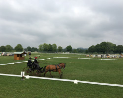 B87A51FB 70D6 48BD 9051 CC4B1FBED16D